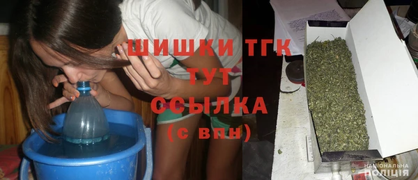 дмт Пересвет
