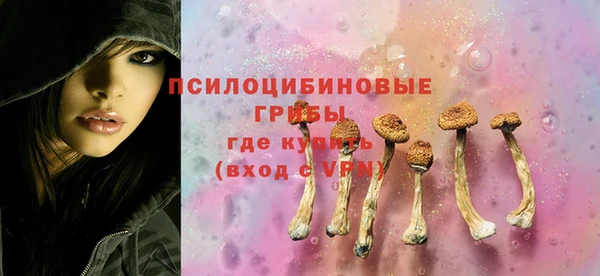 хмурый Абинск