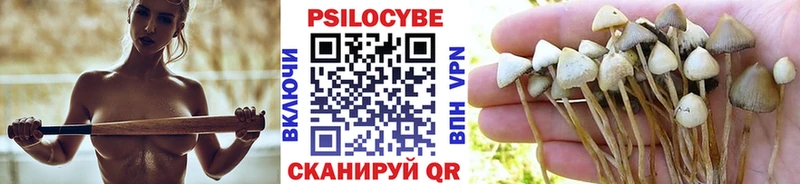 OMG вход  Кремёнки  Галлюциногенные грибы мухоморы  цена  